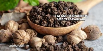 Yalancı Karabiber Ağacı Zararları
