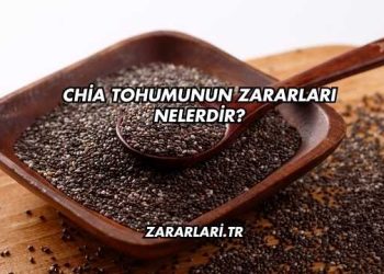 Chia Tohumunun Zararları Nelerdir?