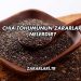 Chia Tohumunun Zararları Nelerdir?