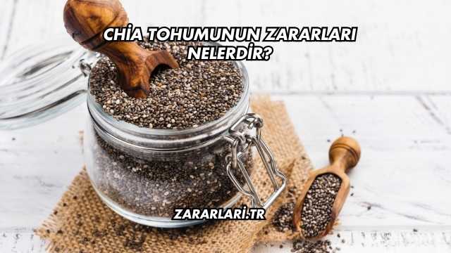 Chia Tohumunun Zararları Nelerdir?