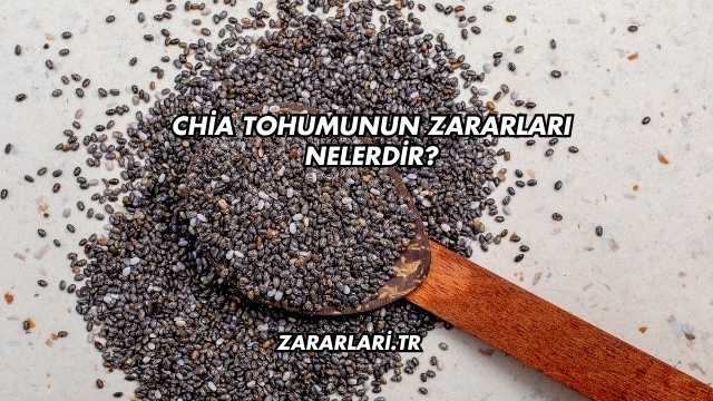 Chia Tohumunun Zararları Nelerdir?