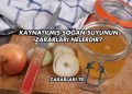 Kaynatılmış Soğan Suyunun Zararları Nelerdir?