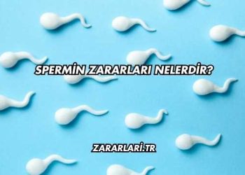 Spermin Zararları Nelerdir?