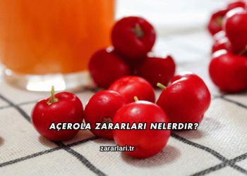 Açerola Zararları Nelerdir?