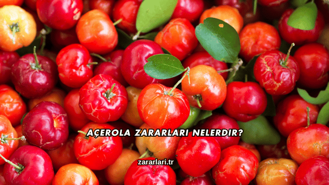 Açerola Zararları Nelerdir?