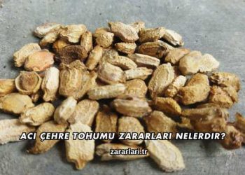 Acı Çehre Tohumu Zararları Nelerdir?