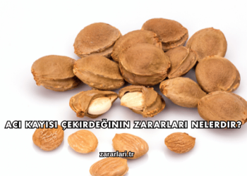 Acı Kayısı Çekirdeğinin Zararları Nelerdir?
