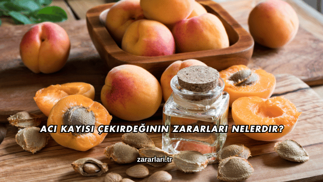 Acı Kayısı Çekirdeğinin Zararları Nelerdir?