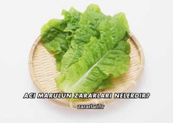 Acı Marulun Zararları Nelerdir?