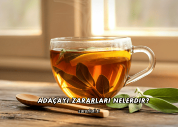 Adaçayı Zararları Nelerdir?