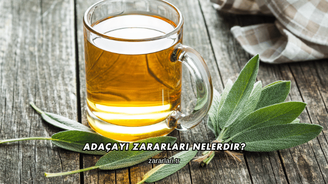 Adaçayı Zararları Nelerdir?