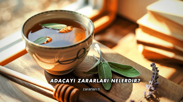 Adaçayı Zararları Nelerdir?