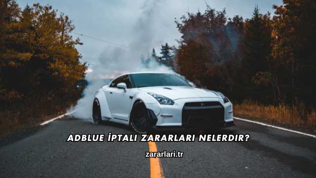 Adblue İptali Zararları Nelerdir?