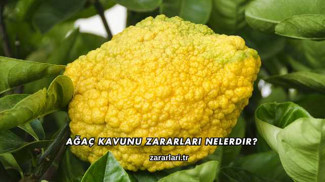Ağaç Kavunu Zararları Nelerdir?
