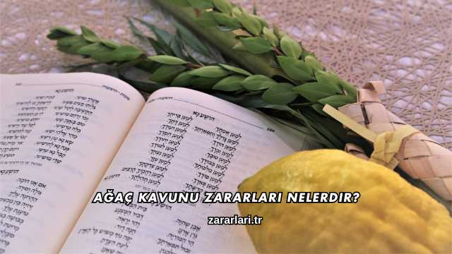 Ağaç Kavunu Zararları Nelerdir?