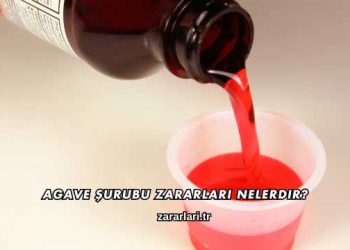 Agave Şurubu Zararları Nelerdir?