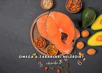 Omega 6 Zararları Nelerdir?