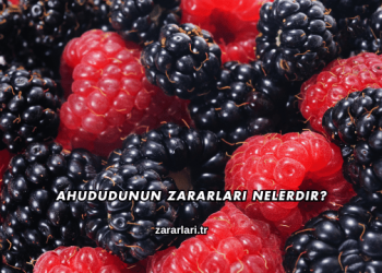 Ahududunun Zararları Nelerdir?
