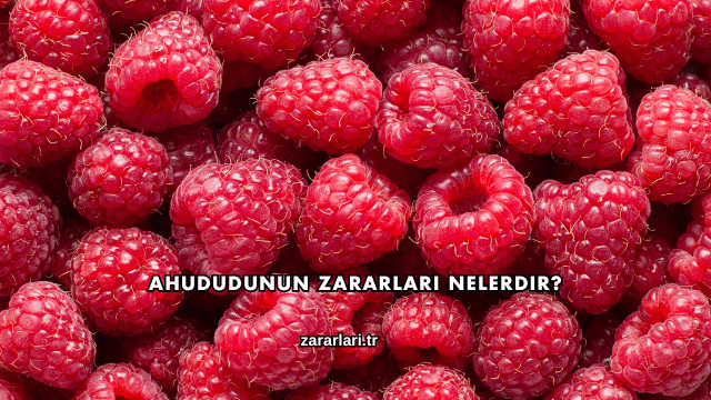 Ahududunun Zararları Nelerdir?