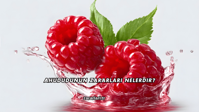 Ahududunun Zararları Nelerdir?