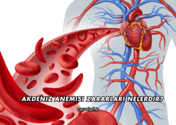 Akdeniz Anemisi Zararları Nelerdir?