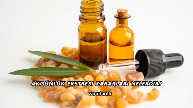 Akgünlük Ekstresi Zararları Nelerdir?