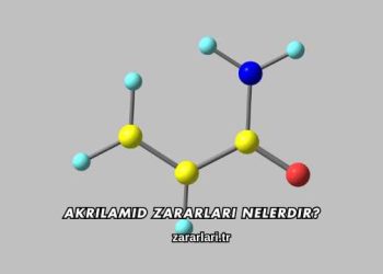 Akrilamid Zararları Nelerdir?