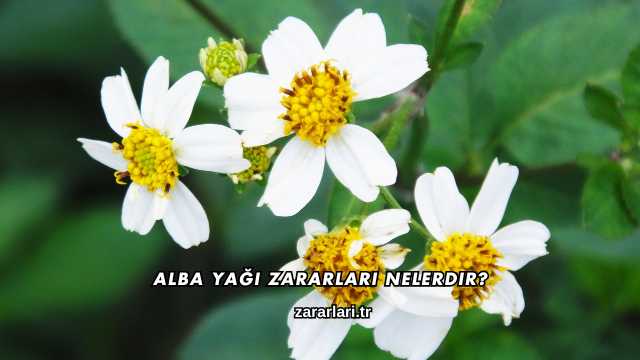 Alba Yağı Zararları Nelerdir?