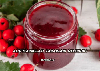 Alıç Marmelatı Zararları Nelerdir?
