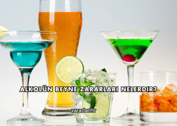 Alkolün Beyne Zararları Nelerdir?