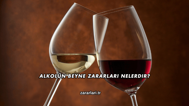 Alkolün Beyne Zararları Nelerdir?