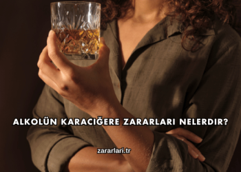 Alkolün Karaciğere Zararları Nelerdir?
