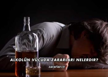 Alkolün Vücuda Zararları Nelerdir?
