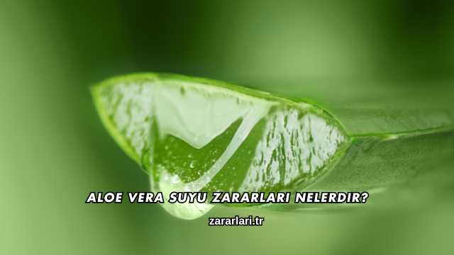 Aloe Vera Suyu Zararları Nelerdir?