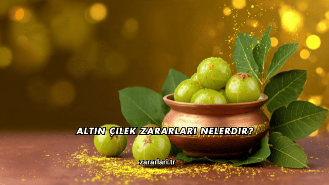Altın Çilek Zararları Nelerdir?