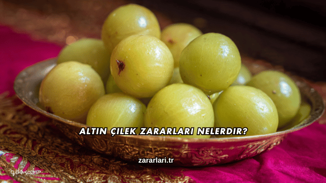 Altın Çilek Zararları Nelerdir?