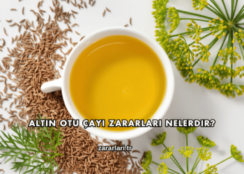 Altın Otu Çayı Zararları Nelerdir?