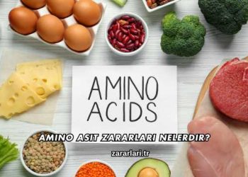 Amino Asit Zararları Nelerdir?