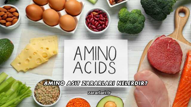 Amino Asit Zararları Nelerdir?