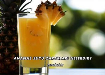 Ananas Suyu Zararları Nelerdir?