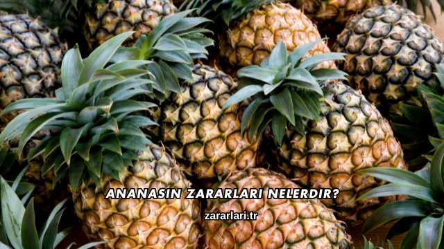 Ananasın Zararları Nelerdir?