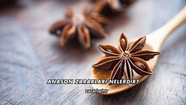 Anason Zararları Nelerdir?
