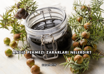 Andız Pekmezi Zararları Nelerdir?