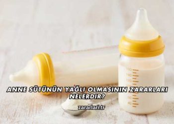 Anne Sütünün Yağlı Olmasının Zararları Nelerdir?