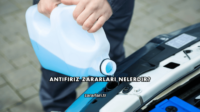 Antifiriz Zararları Nelerdir?