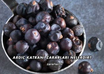 Ardıç Katranı Zararları Nelerdir?