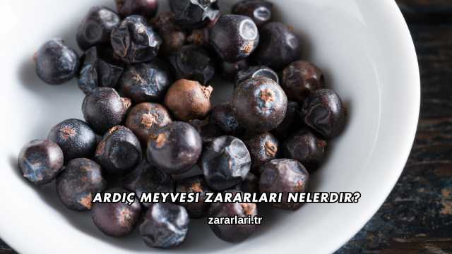 Ardıç Meyvesi Zararları Nelerdir?