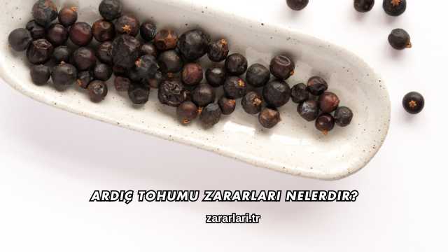 Ardıç Tohumu Zararları Nelerdir?