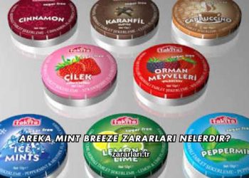Areka Mint Breeze Zararları Nelerdir?