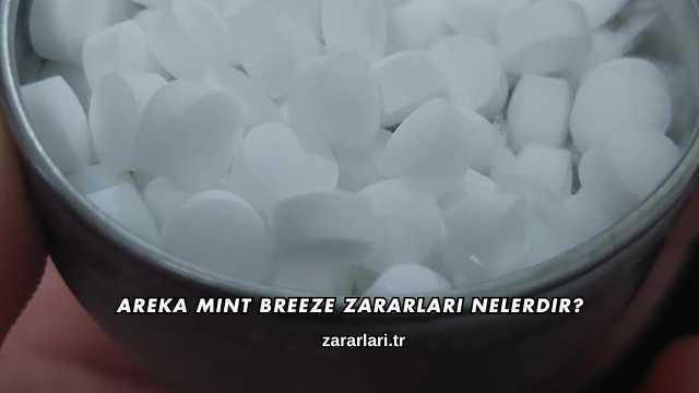 Areka Mint Breeze Zararları Nelerdir?
